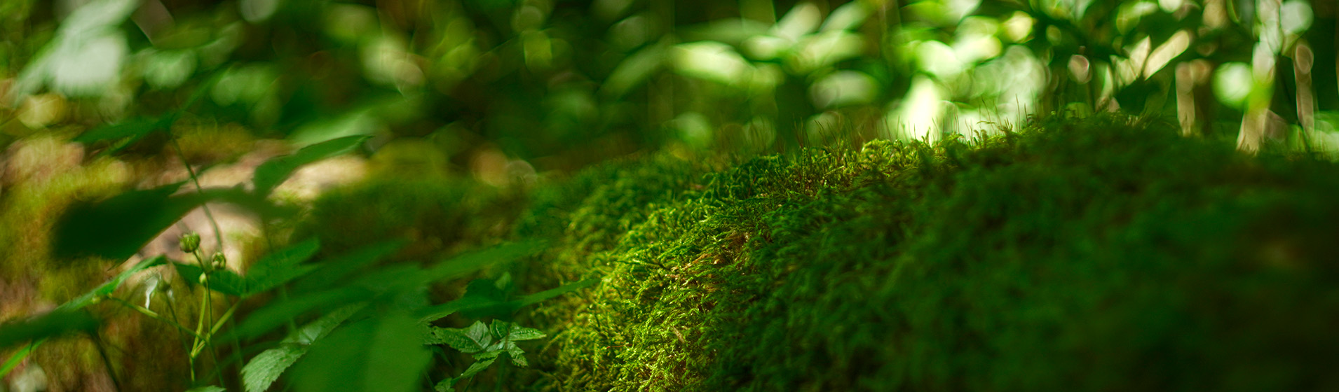 Portfolio Color Grading & Postproducción